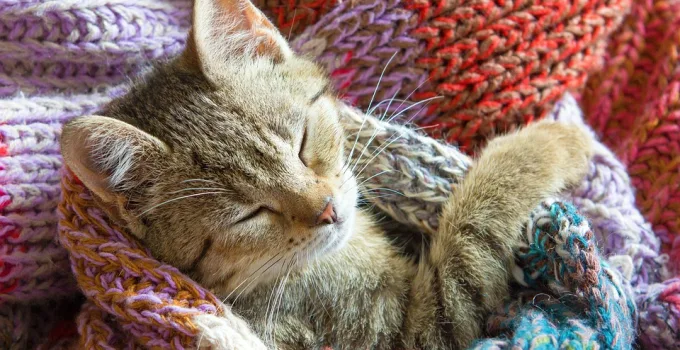 Rüyada Spor Ayakkabı Görmek