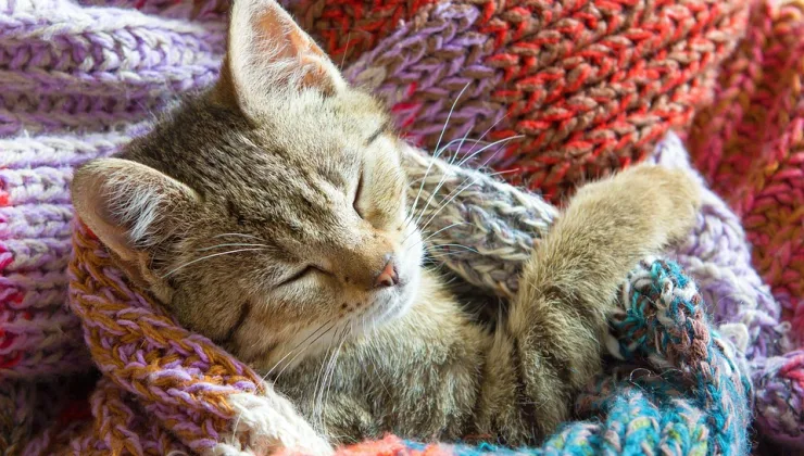 Rüyada Spor Ayakkabı Görmek