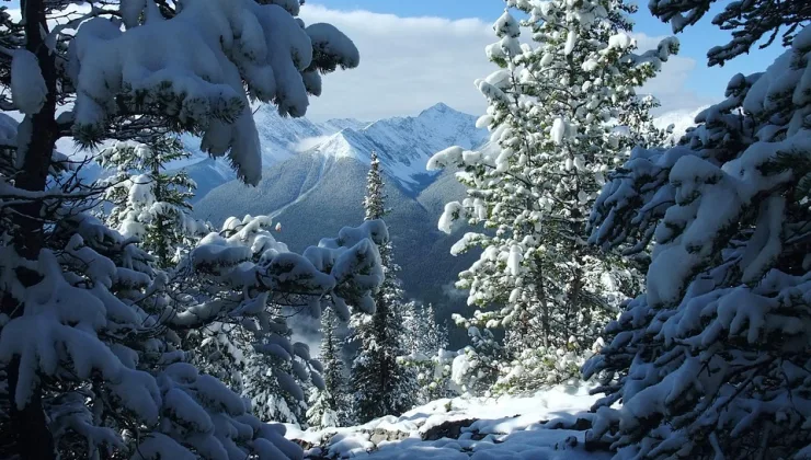 Rüyada Terlik Görmek